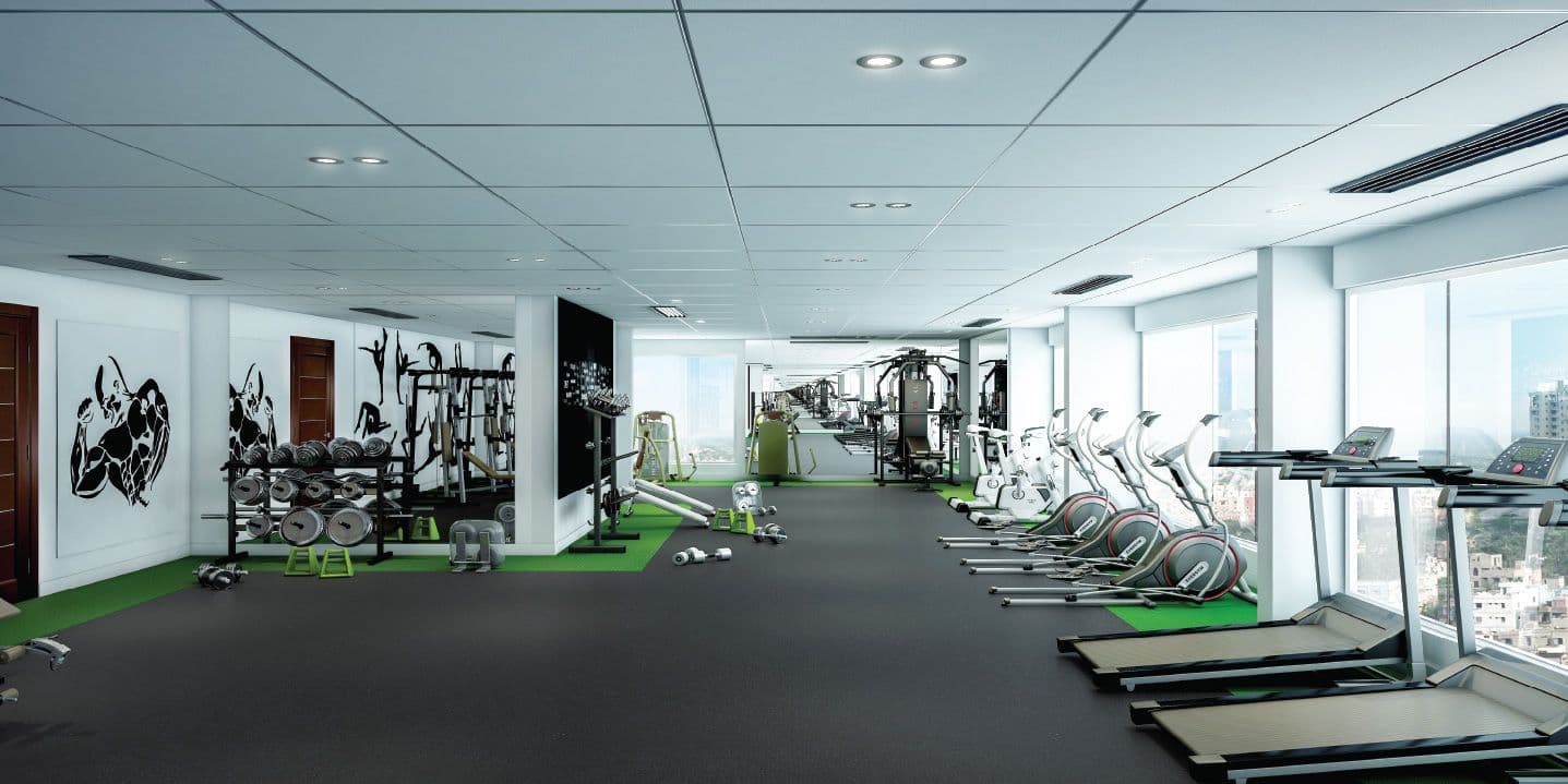 Merlin Next gym